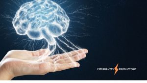el cerebro responde a señales externas